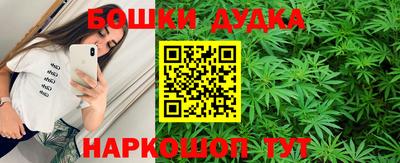 сатива Лесосибирск